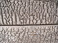 Deeply charred sugi wood surface showing carbonized grain and texture from yakisugi treatment