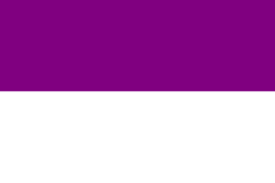Flag of Rajpipla