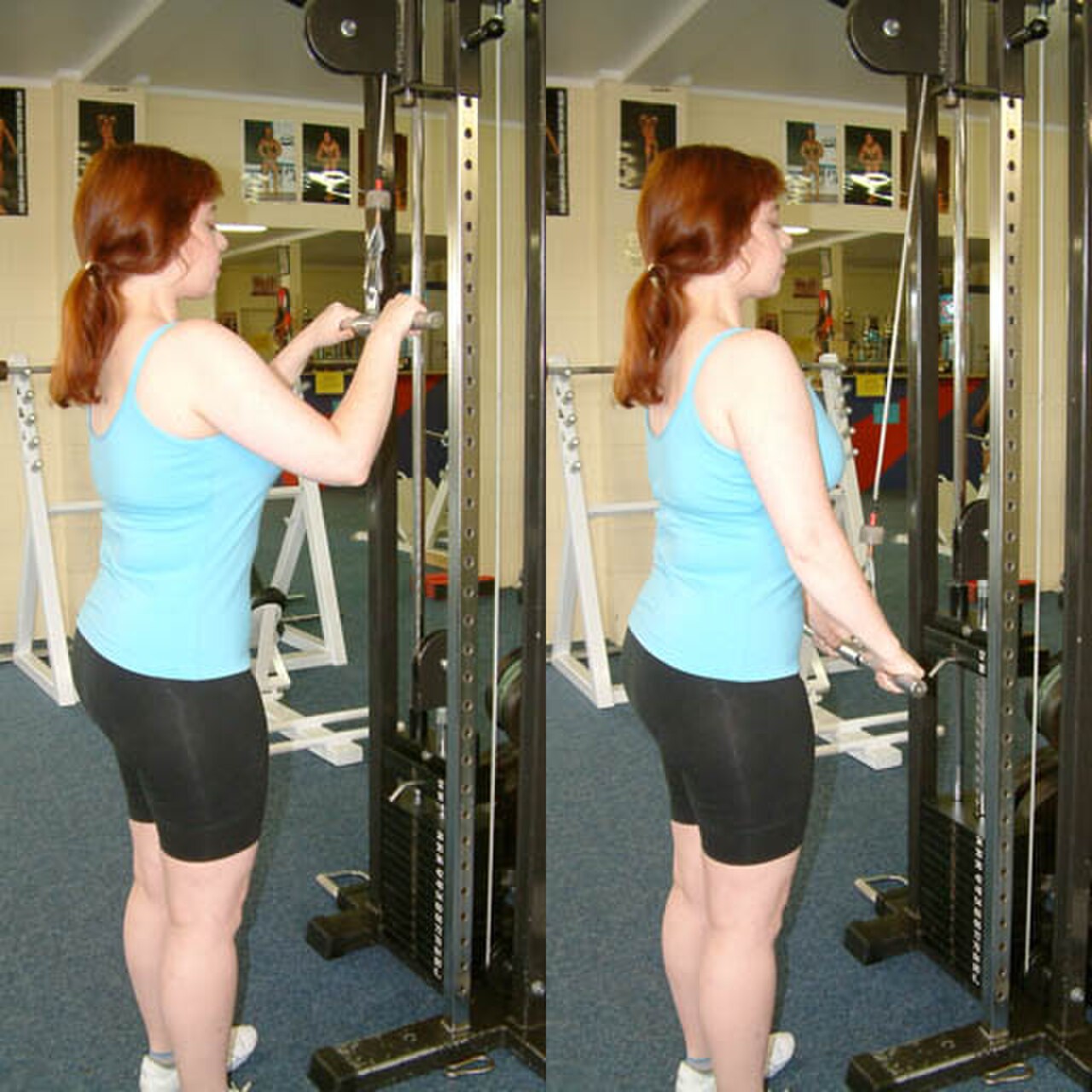 CableMachinePushdown.JPG