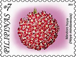 Called Mindoro hoya on a Philippines postage stamp