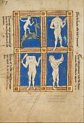 13th-century bestiary leaf