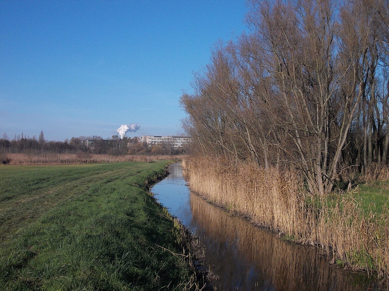 Geisel-b-Zscherben.JPG