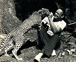 Daniel P. Mannix with his trained cheetah Rani