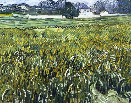 Wheat Field at Auvers with White House, June 1890, The Phillips Collection, Washington, D.C. (F804)