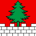 Flag of Bottenwil