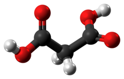 Ball-and-stick model of the malonic acid molecule