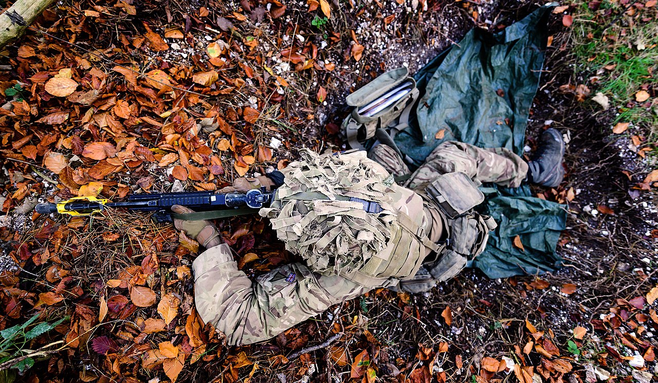 Household Cavalry Regiment on Ex Iron Scout 3 on Salisbury Plain. MOD 45161837.jpg