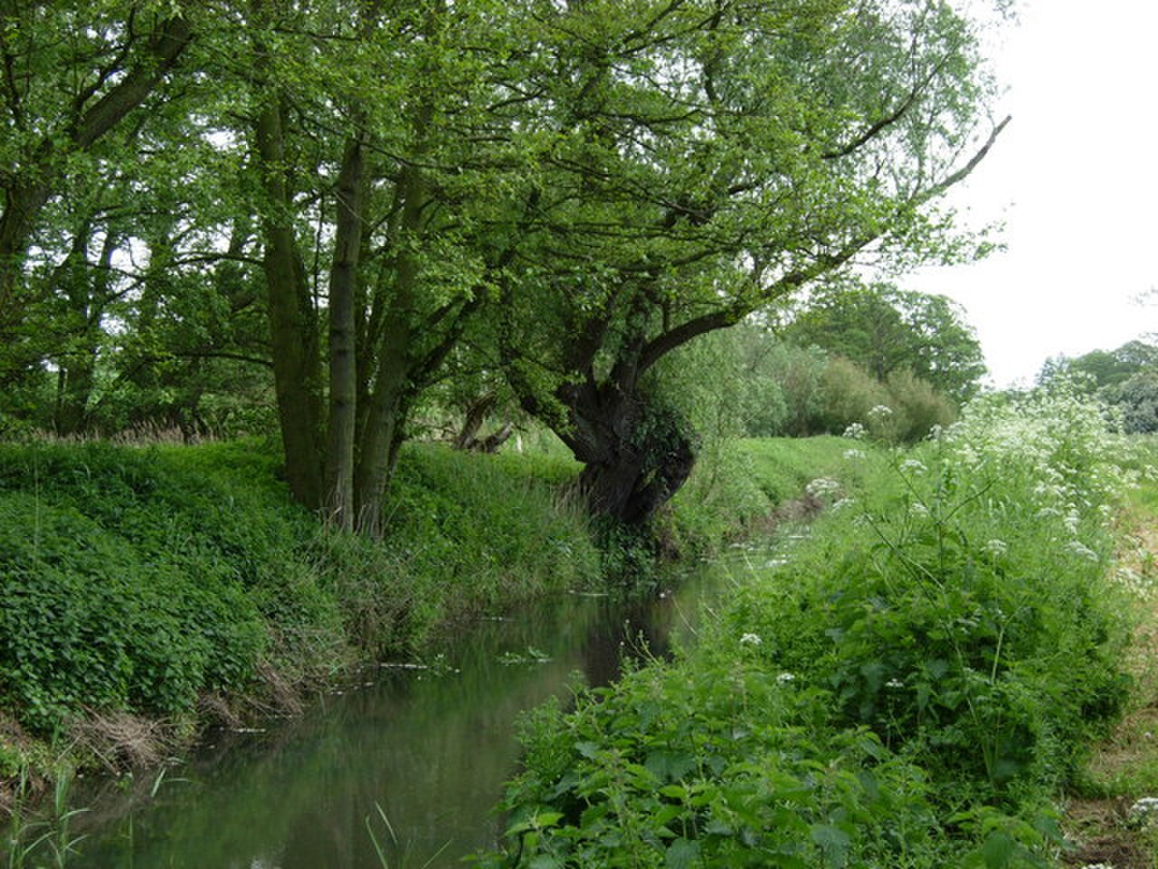 Minsmere River, Middleton - geograph.org.uk - 177799.jpg