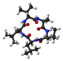 Ball-and-stick model of the chrysosporide molecule