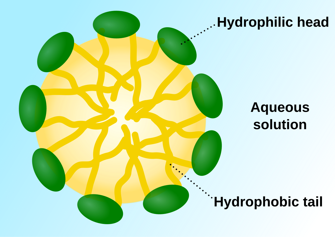Micelle scheme-en.svg