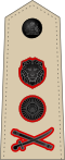 General (Malawian Army)[24]