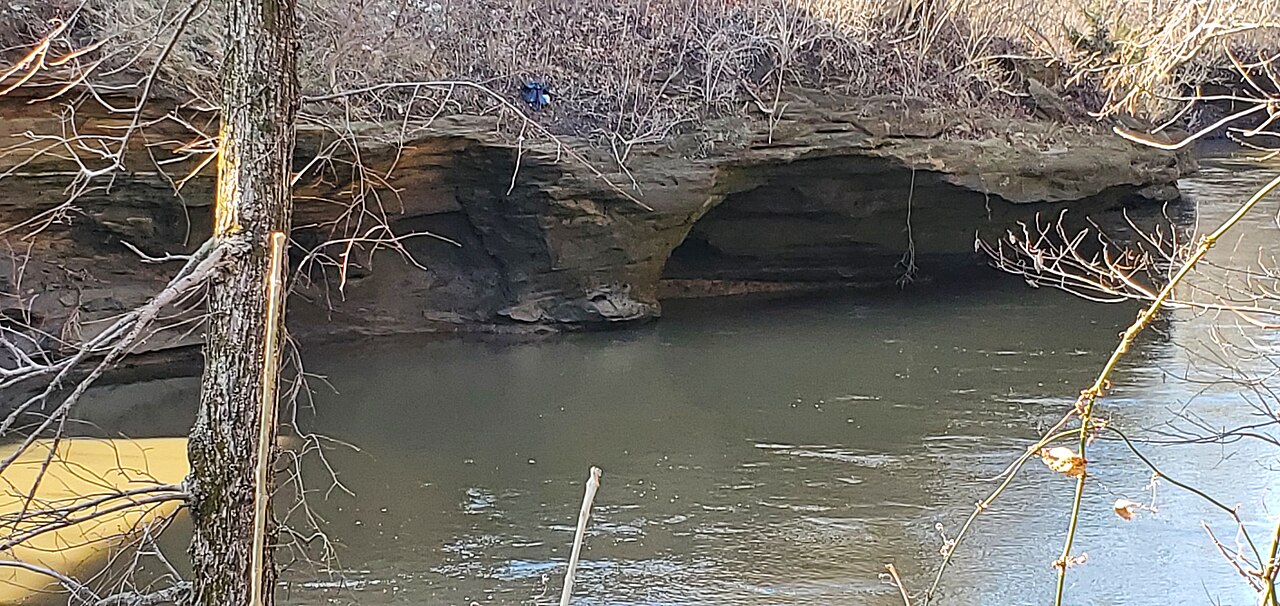 Haskell Limestone on Wakarusa R. near Blue Jacket's Crossing 20220402 092645.jpg