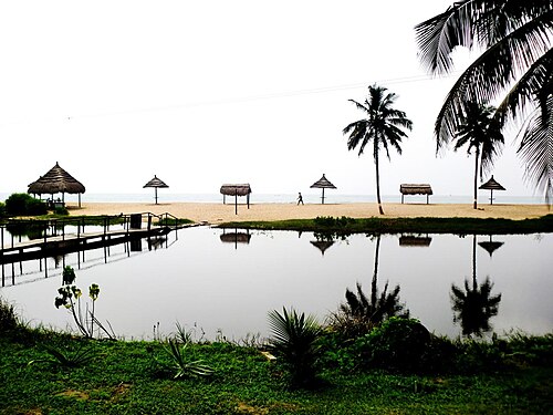 Seashores and lagoons of the Western region