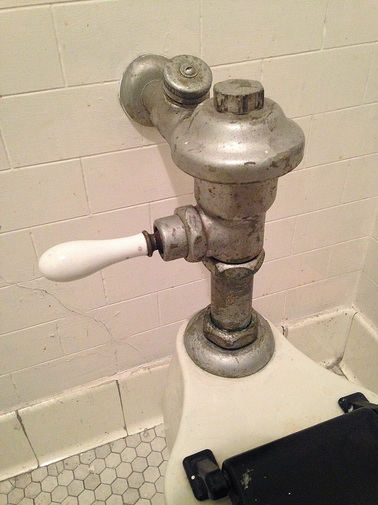 Flushometer- 20th Century.jpg