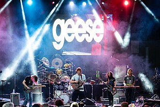Geese performing in 2024