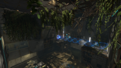 An overgrown testing chamber, with two platforms on the left and right.