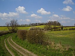 Loveden Hill, alleged meeting place of the wapentake