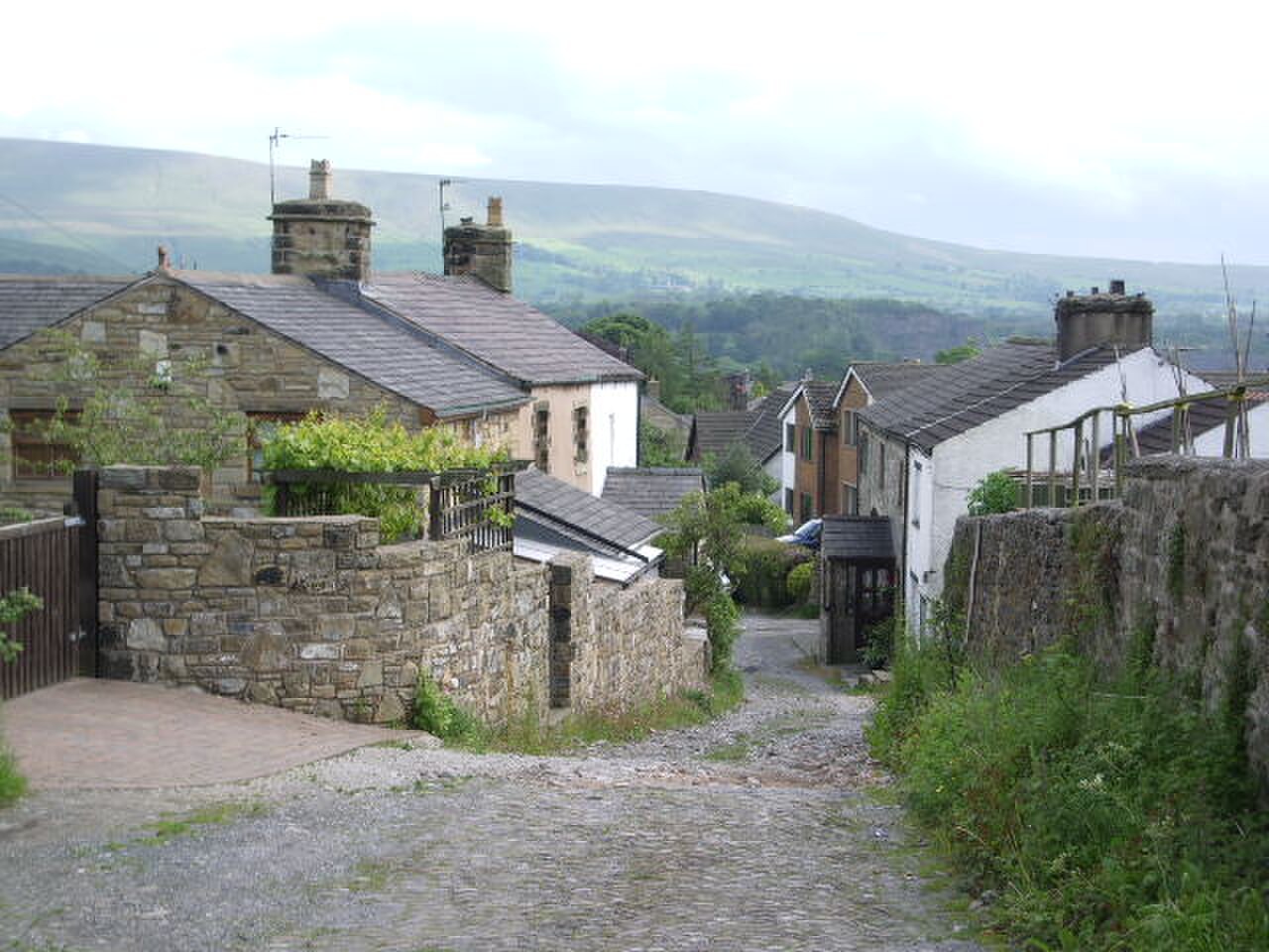 Back Lane, Grindleton - geograph.org.uk - 451398.jpg