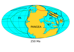 Paleogeography of the Earth at the Permian–Triassic boundary, around 250 Ma. Siberia has fused with Pangaea to complete the assembly of the supercontinent.