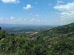 Hispaniolan moist forests, hills north of Santiago de los Caballeros, Dominican Republic and Haiti