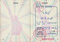 Visa pages