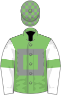 Light green, grey hollow box, white sleeves, light green armlets, light green and grey check cap