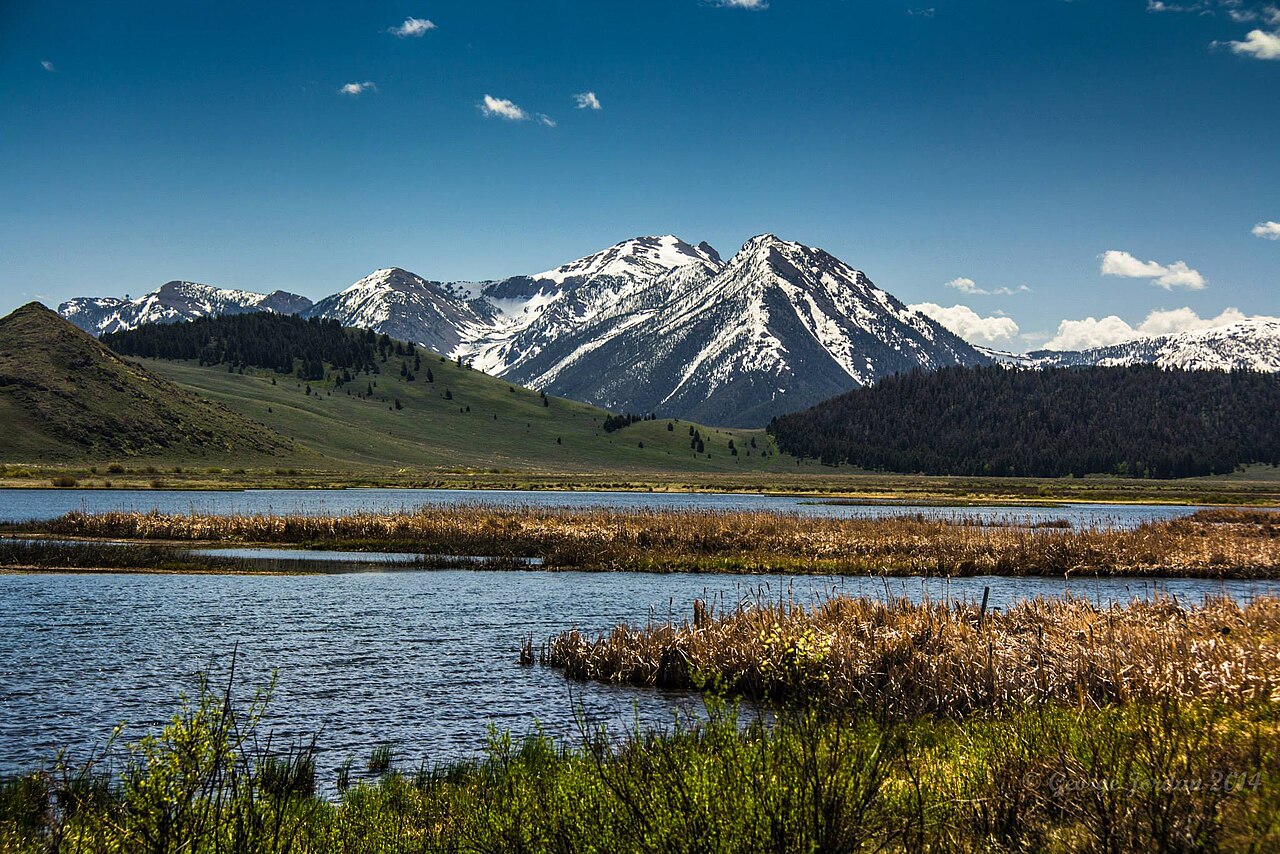 Widgeon Pond, Red Rock Lakes NWR (14282591676).jpg