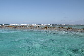 Close-up view of the reef