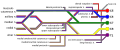 Diagram of the brachial plexus using colour to illustrate the contributions of each nerve root to the branches