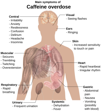 Torso of a young man with overlaid text of main side-effects of caffeine overdose.