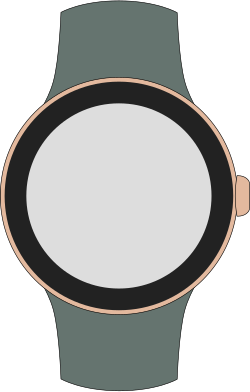 Pixel Watch 3