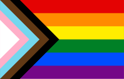 The Progress Pride Flag, designed in 2018 by Daniel Quasar