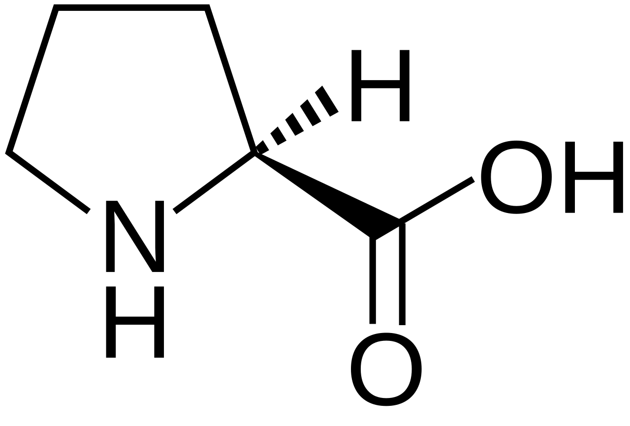 Amminoacido prolina formula.svg