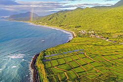 Paddy fields by the coast of Fengbin, Hualien