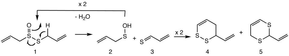Formation_of_vinyldithiins_from_allicin
