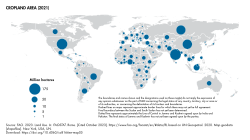 Area used for crops by country in 2021.