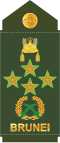 Jeneral (Royal Brunei Land Force)[8]
