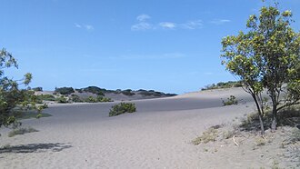 Desert sand dunes of Baní, Dominican Republic