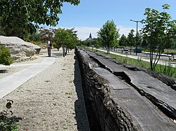 Jardin botanique