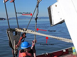 Frapping line