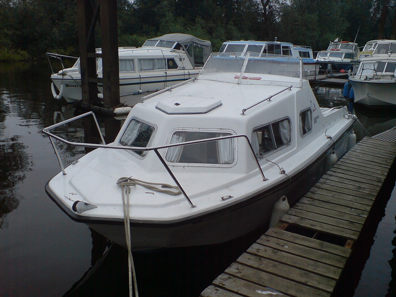 Microplus 561.jpg