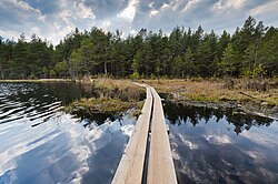 Duckboards on the Lake Storträsk at Sipoonkorpi National Park in Uusimaa, Finland