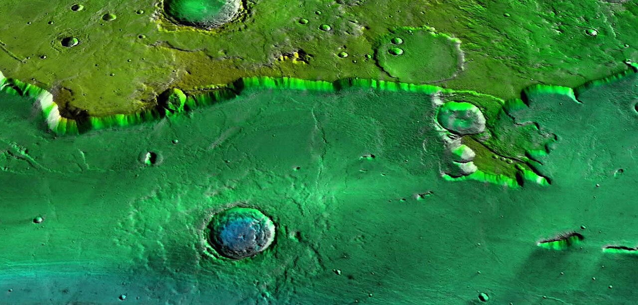 Nilokeras Scopulus.jpg