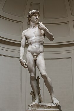 David (1504), by Michelangelo