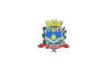 Flag of Pontal
