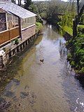 The river as it flows through the village of Stiffkey