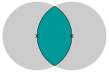 Fish bladder
