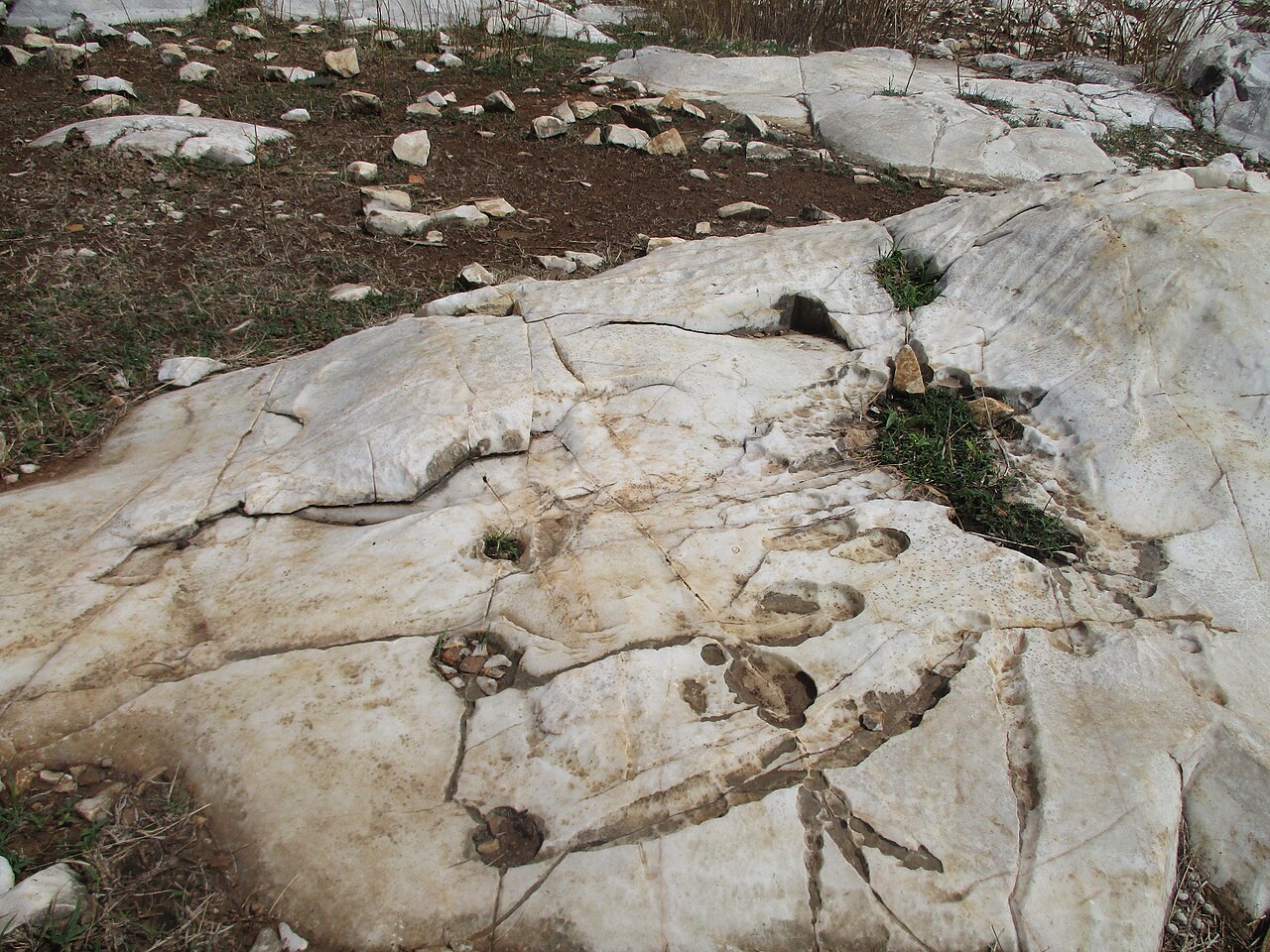 Site archéologique de Bidzar1.jpg