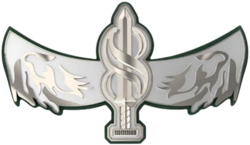 Soldier pin in the Multidimensional Unit