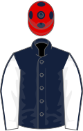 Dark Blue, White sleeves, Dark Blue seams, Red cap, Dark Blue spots